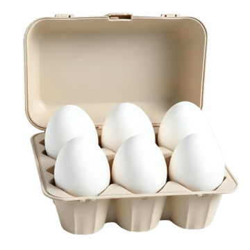 eggs-pack-of-6